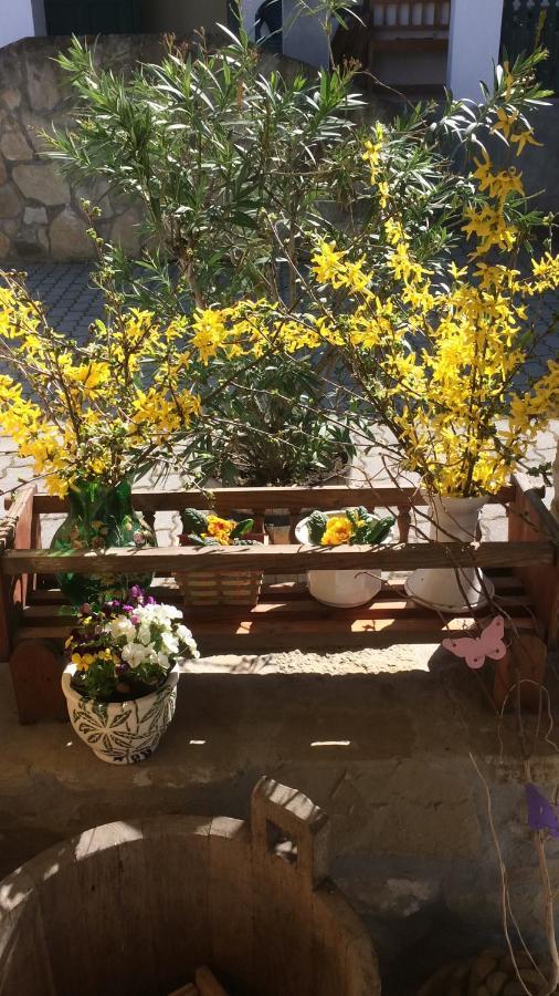 Falubiro Vendeghaza Bekolce Exterior foto