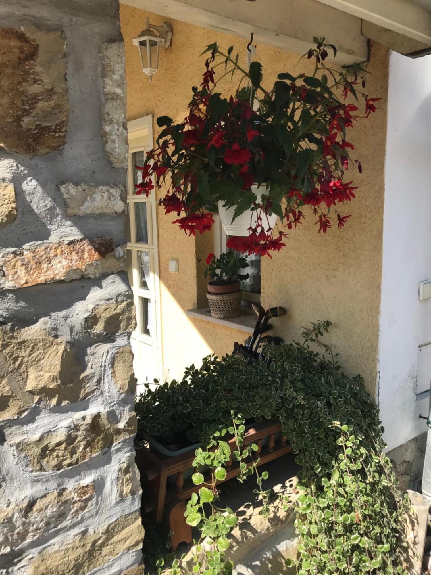 Falubiro Vendeghaza Bekolce Exterior foto